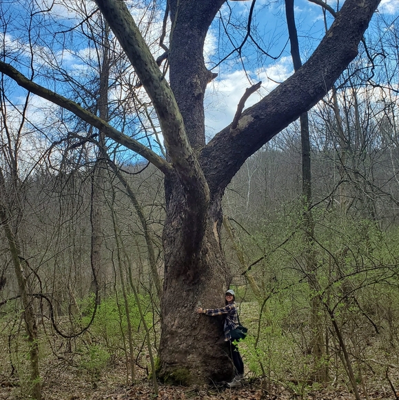 Meet your Posher, Zoë - Picture 5 of 5